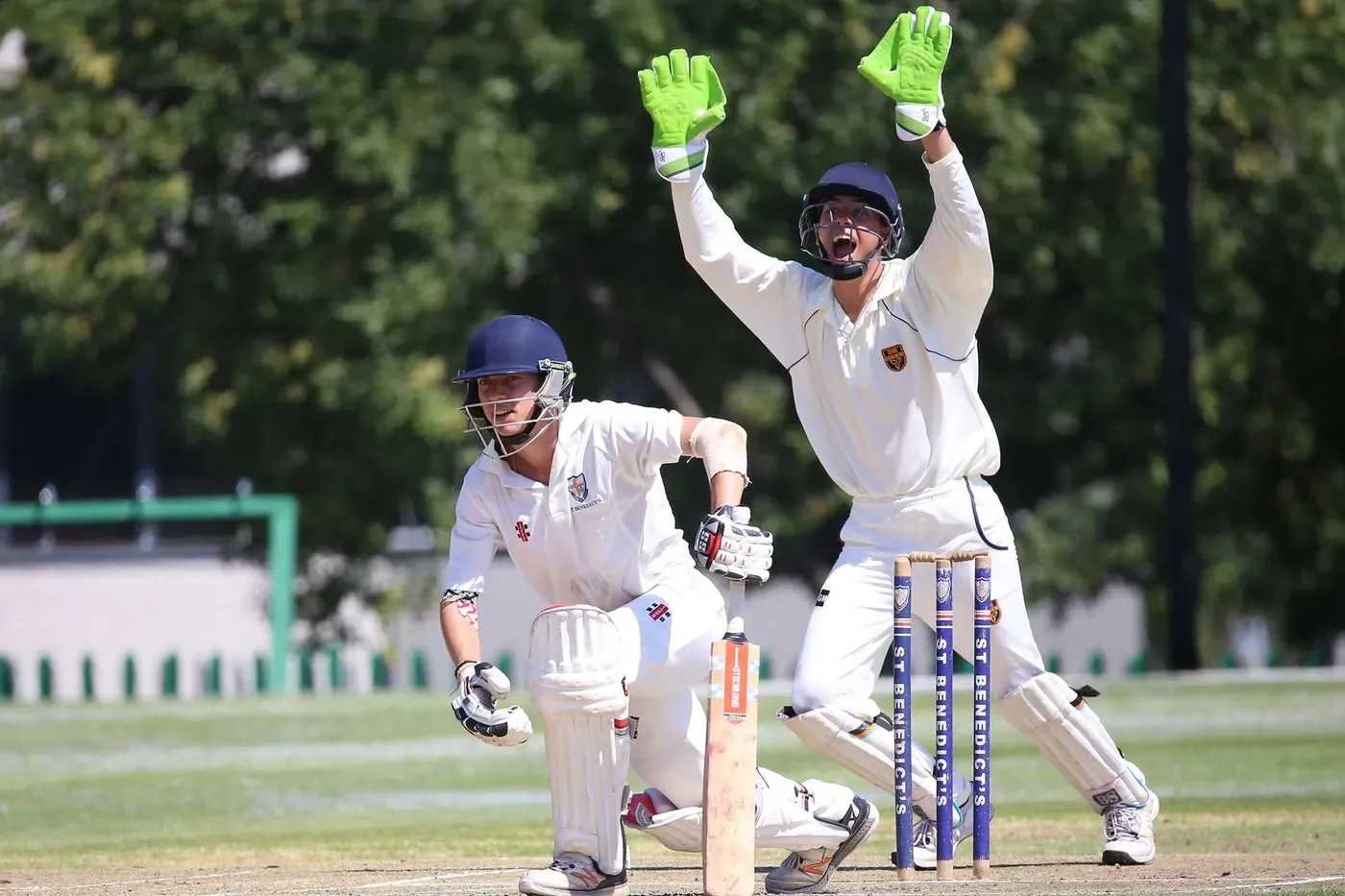Cricket